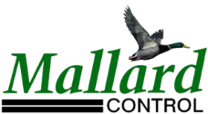 Mallard : Brand Short Description Type Here.